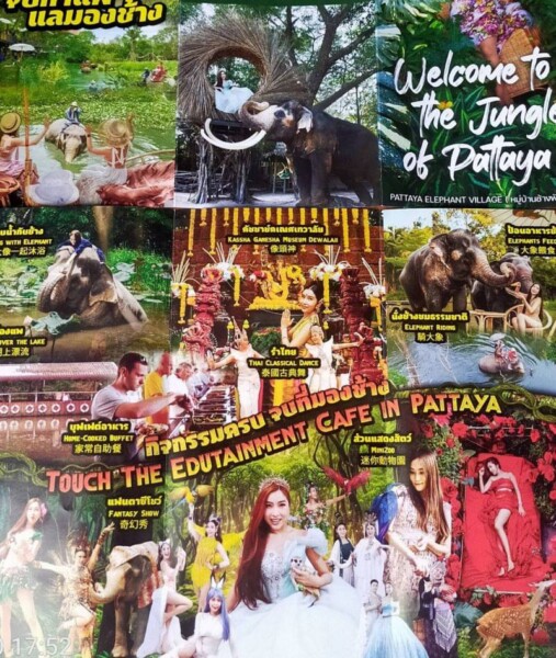 รถให้เช่าอ่างทอง บริการรถตู้เหมานำเที่ยว รถตู้เช่าพร้อมคนขับ ราคาถูก บริการรับส่งทั่วไทย 14 Pixiu2519.com บริการรถตู้เหมานำเที่ยว รถตู้เช่าพร้อมคนขับ 59