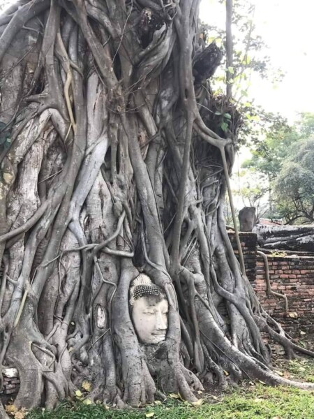 รถให้เช่านครสวรรค์ บริการรถตู้เหมานำเที่ยว รถตู้เช่าพร้อมคนขับ ราคาถูก บริการรับส่งทั่วไทย 24 Pixiu2519.com บริการรถตู้เหมานำเที่ยว รถตู้เช่าพร้อมคนขับ 80