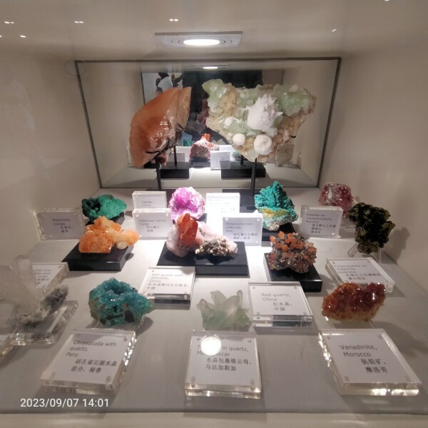 IMG20230907140145